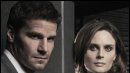 image de la news M6 remplace "Bones"