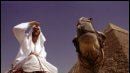 Bande-annonce : "Where in the World is Osama Bin Laden ?"