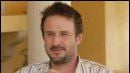 "Pushing Daisies" : David Arquette met la main à la pâte !