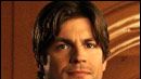 image de la news Drame à Wisteria Lane : Gale Harold hospitalisé !