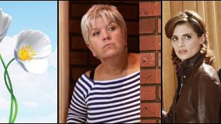 image de la news Audiences : "Joséphine" et "Castle" dépassés par l'amour !