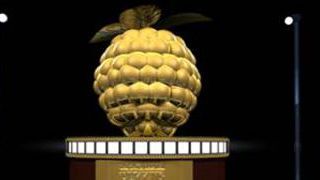 image de la news Razzie Awards 2011 : et les pires sont...
