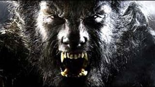 image de la news Un reboot pour "Wolfman" ?