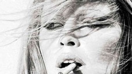 image de la news Shopping Ciné : "Brigitte Bardot plein la vue" [LIVRE]