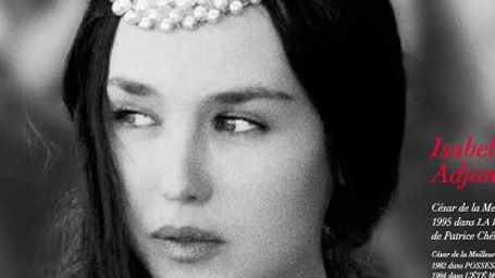 image de la news César 2014 : Isabelle Adjani en "Reine Margot" sur l'affiche officielle [PHOTO]