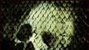 image de la news Bande-annonce : "Anacondas 2"