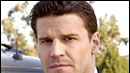 image de la news David Boreanaz : un ange repasse...