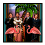 image de la news Suite de 'La Cage aux folles' US