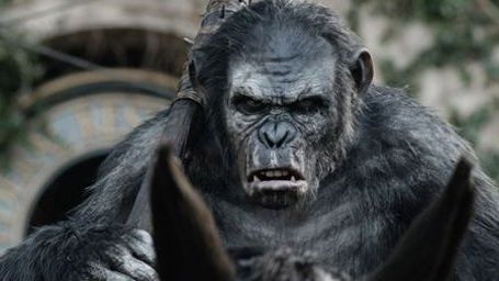 Toby Kebbell : de La Planète des Singes à Ben-Hur !