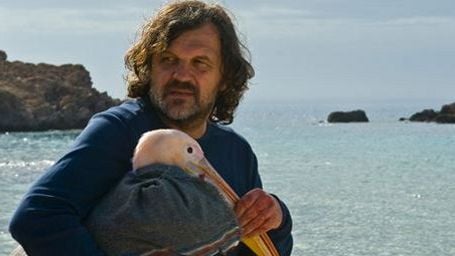 Emir Kusturica part en guerre en 2015