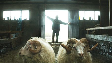 image de la news Cannes 2015 : bande-annonce Béliers : une bouffée d'air pur islandaise signée Grímur Hákonarson