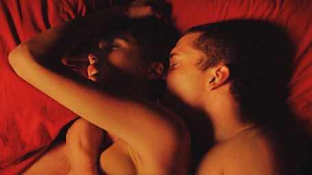 image de la news Cannes 2015 - Love : Sexe, lunettes et Benicio del Toro... Les moments forts de la soirée !