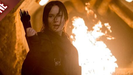 image de la news FanZone 501 : on dit adieu au Mockingjay