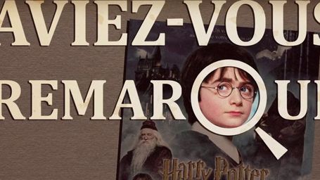 image de la news Aviez-vous remarqué ? Les petits détails cachés de Harry Potter