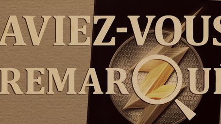 image de la news Aviez-vous remarqué ? Les petits détails cachés de Flash