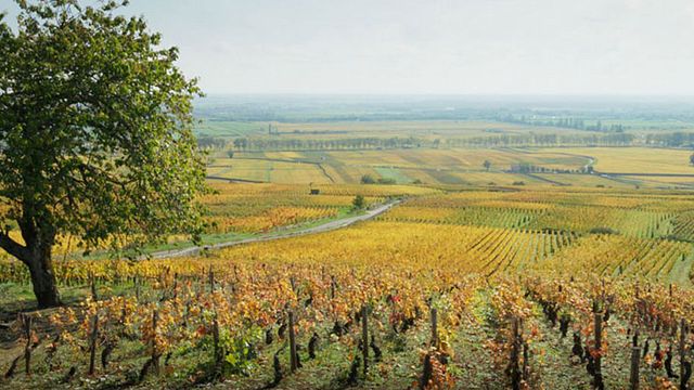 image de la news Quels films ont été tournés dans votre région ?