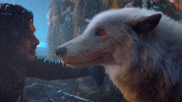 image de la news Game of Thrones : les loups géants des Stark ont-ils réellement existé ?