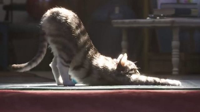 image de la news Toy Story 4 : Woody, Buzz, la Bergère et les autres face à un nouvel ennemi ?