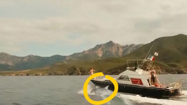 image de la news Le Temps est assassin : les dauphins ratés de TF1 plus forts que la biche de The Walking Dead ?