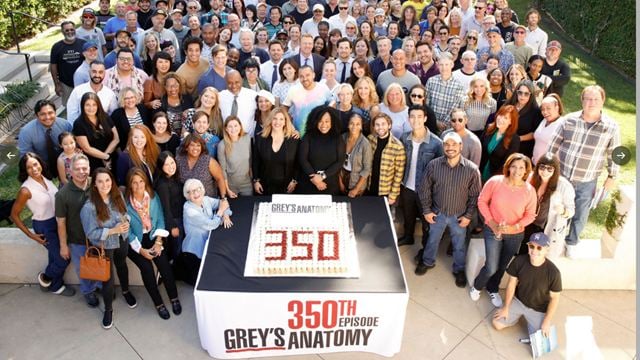 Grey's Anatomy : l'équipe réunie pour fêter le 350e épisode