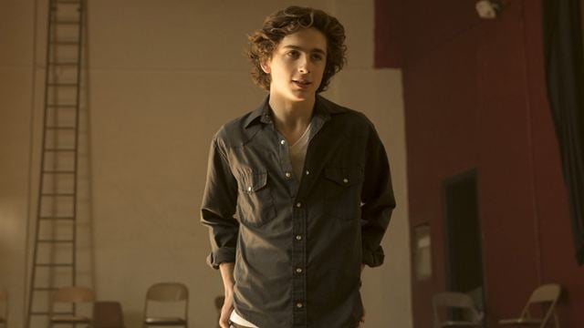 Timothée Chalamet sera Bob Dylan pour le réalisateur de Walk the Line