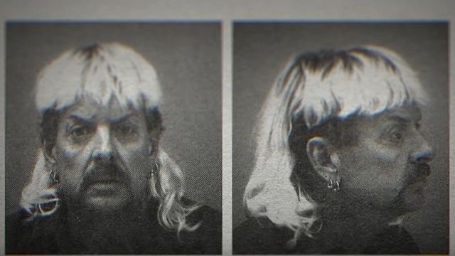 image de la news Au Royaume des fauves (Tiger King) sur Netflix : une plongée sordide dans l'Amérique white trash