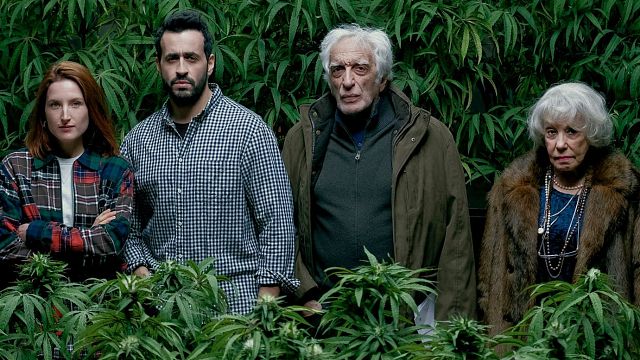 image de la news Family Business sur Netflix : une saison 3 pour la comédie avec Jonathan Cohen