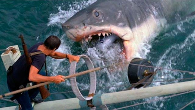 Les Dents de la mer sur Netflix : 5 films de requins à voir sur les plateformes