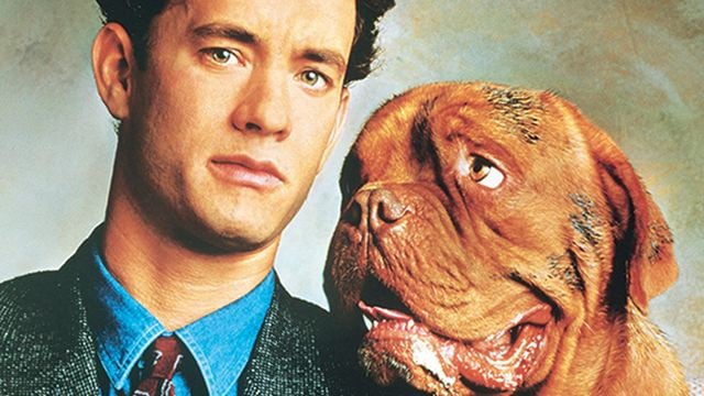 Turner & Hooch sur Disney+ : 3 choses à savoir sur le film avec Tom Hanks qui a inspiré la série