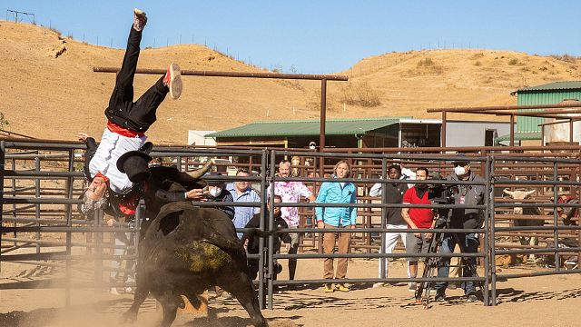 image de la news Bande-annonce Jackass Forever : des cascades toujours plus impressionnantes