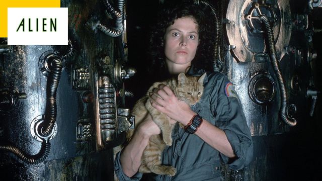 Ridley Scott : Alien et Blade Runner bientôt adaptés en séries ?