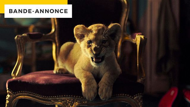 image de la news Bande-annonce King : Gérard Darmon papy loufoque au secours d'un lionceau