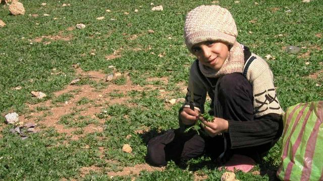 image de la news Little Palestine, terrible plongée en apnée au coeur d'un siège durant la guerre en Syrie