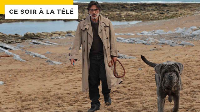 image de la news Mon chien stupide : l'Inspecteur Columbo aurait pu tenir le rôle d'Yvan Attal !