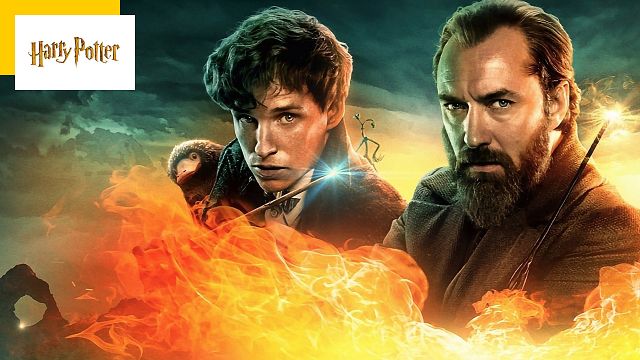 image de la news Harry Potter : Les Animaux fantastiques 4 et 5 sont-ils toujours prévus ?