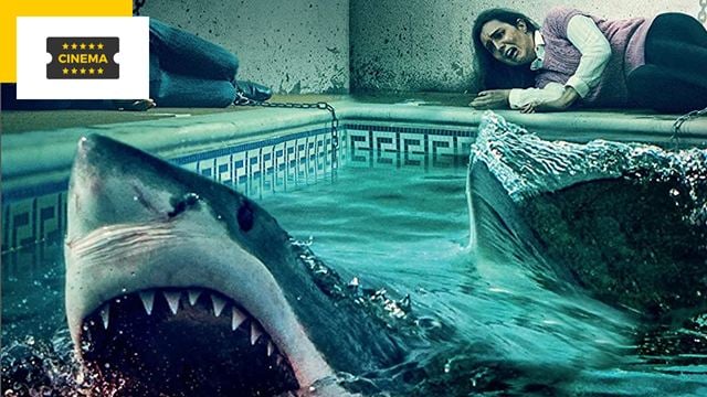 1 requin, 1 piscine, 5 inconnus: découvrez la bande-annonce de Blood in the water !