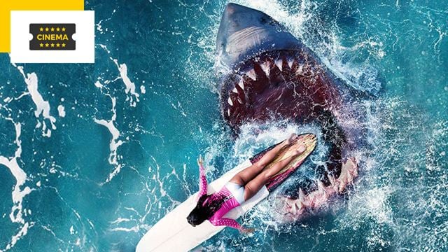 Vacances, bikini et requin : découvrez la bande-annonce de Maneater !