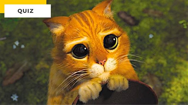 image de la news Quiz Cinéma : impossible de reconnaître ces 9 chats !