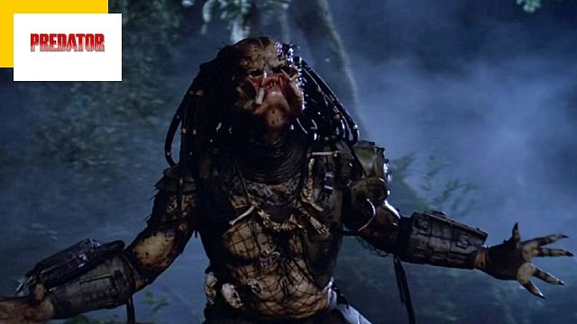 image de la news Predator sur Disney+ : tous les films de la franchise dans l'ordre chronologique