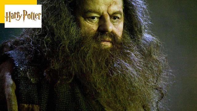 image de la news Mort de Robbie Coltrane : Daniel Radcliffe, Emma Watson... L'équipe de Harry Potter rend hommage à Hagrid
