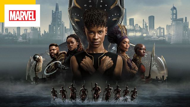 image de la news Black Panther 2 sortira bien dans les salles françaises ! 