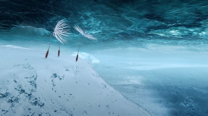 Photo du film Planètes