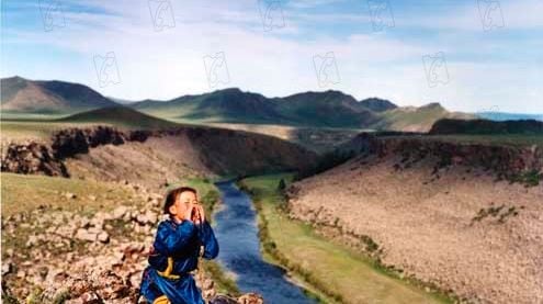 Photo du film Le chien jaune de Mongolie