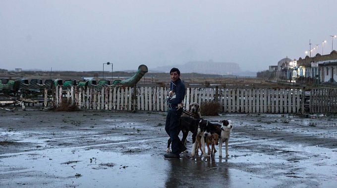 Photo du film Dogman