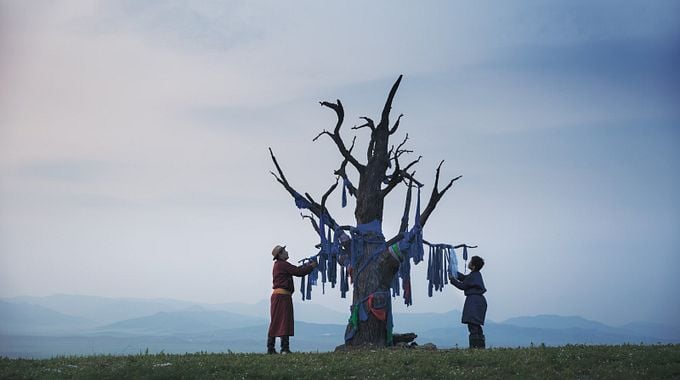 Photo du film Les Racines du monde