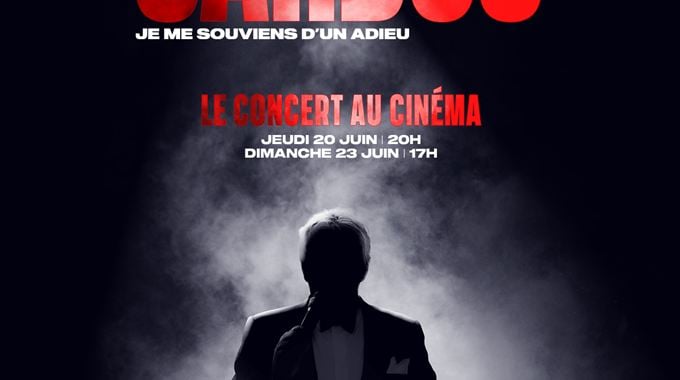Photo du film Michel Sardou - Le concert au cinéma
