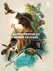 poster de The Wild Immersion