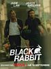 poster de Black Rabbit