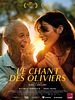 poster de Le Chant des oliviers