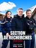 poster de Section de recherches : Neige sang